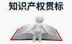知识产权宣传活动总结模板7篇