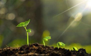 2024成长心得最新7篇