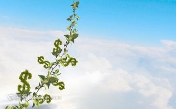 有关成长感悟的作文600字8篇