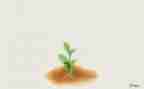 成长总结的作文优质8篇