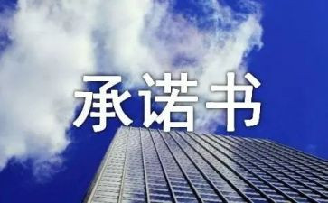 企业产品质量承诺书7篇