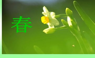 青春励志演讲稿大学500参考5篇