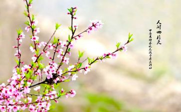 写春天生机勃勃的作文5篇