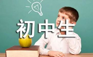 初中数学教师总结与反思8篇