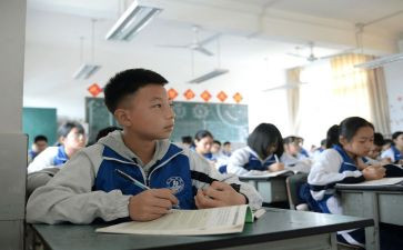 2024初中生物教学总结优质6篇