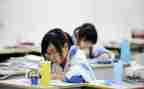 初中生物教师新学期工作计划6篇