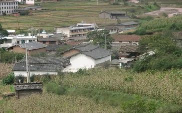 并村后调研报告优秀7篇