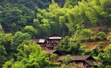 村助理月工作总结参考5篇
