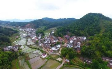 去农村小学调研报告8篇