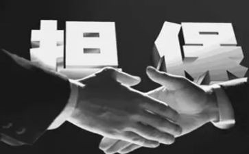 担保人担保合同推荐8篇