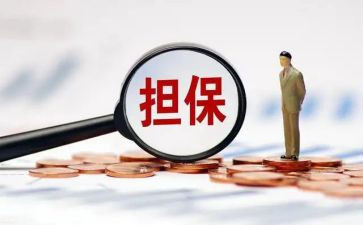 个人借款担保人合同5篇
