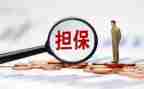 个人借款担保人合同5篇