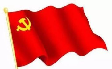 党日活动的心得模板7篇