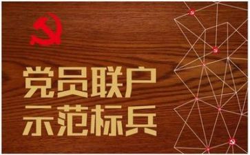 党支总结报告7篇