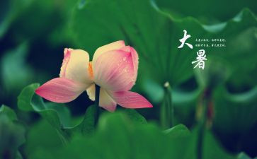 24节气大暑教案8篇