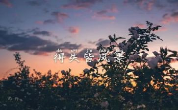 教学上的得与失演讲稿6篇