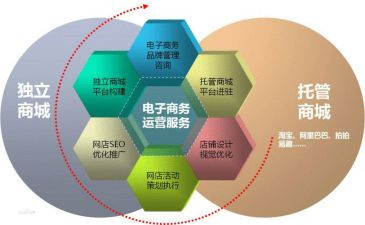 电商工作总结及计划6篇