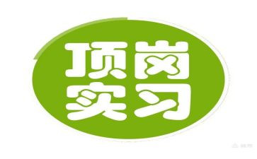 顶岗月总结报告8篇
