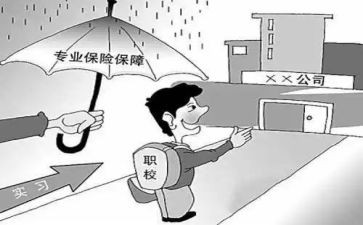 顶岗总结报告8篇