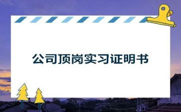 顶岗实习的总结报告7篇