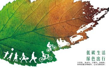 低碳环保活动方案5篇
