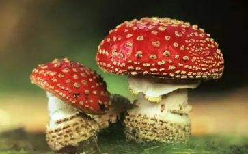 新冠病毒的心得体会8篇