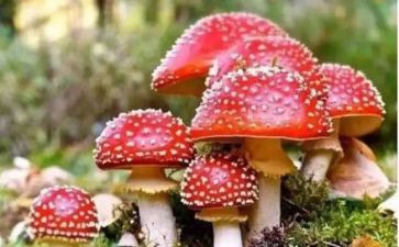 禁毒教育心得体会300推荐6篇
