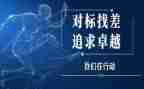 对标活动总结范文参考5篇