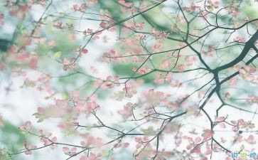 读文学作品的读后感5篇