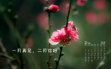 二月工作总结5篇