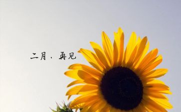 二月的工作计划推荐7篇