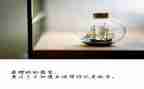 放飞梦想演讲稿范文参考7篇