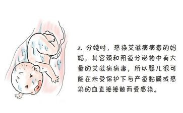 预防艾滋病活动的总结8篇