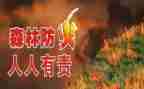 安全防火教育体会心得体会7篇