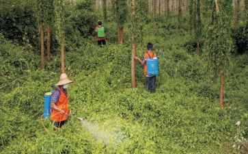 全国肿瘤防治宣传总结6篇