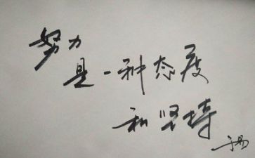 工作总结及反思推荐8篇