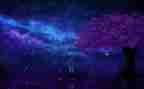 《繁星·春水》读后感800字6篇