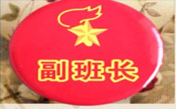 大学生竞选副班长演讲稿5篇