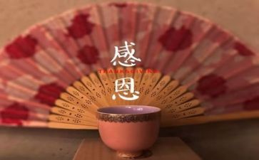 写感恩的演讲稿8篇
