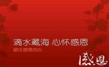 以感恩的心为主题演讲稿7篇
