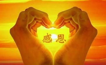l感恩老师都演讲稿推荐8篇