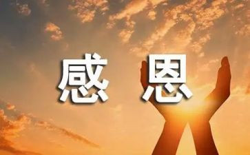 感恩活动心得体会最新6篇