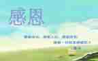 教师感恩的演讲稿推荐7篇