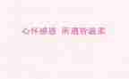 《感恩老师》演讲稿优质5篇