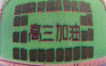 高三数学教学计划优质6篇