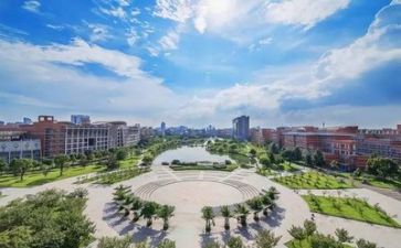 2024高校教师个人总结报告5篇