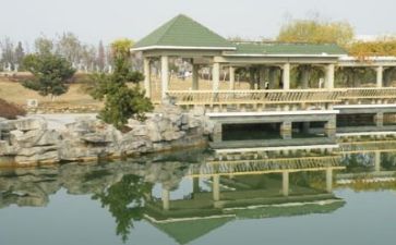 2024高校教师个人总结范文5篇