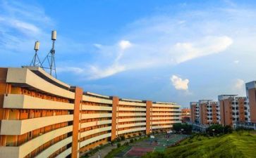 高校教师的工作总结参考8篇
