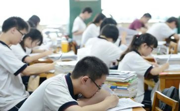 医学生高一学期总结6篇