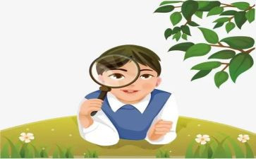 观察动物优秀作文6篇